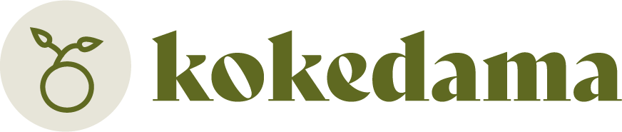 Centro Kokedama